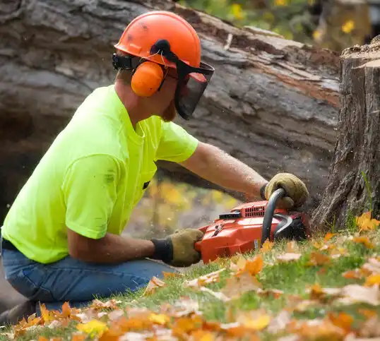 tree services Brookmont